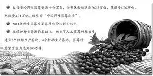 数字黑板报大兴安岭地区