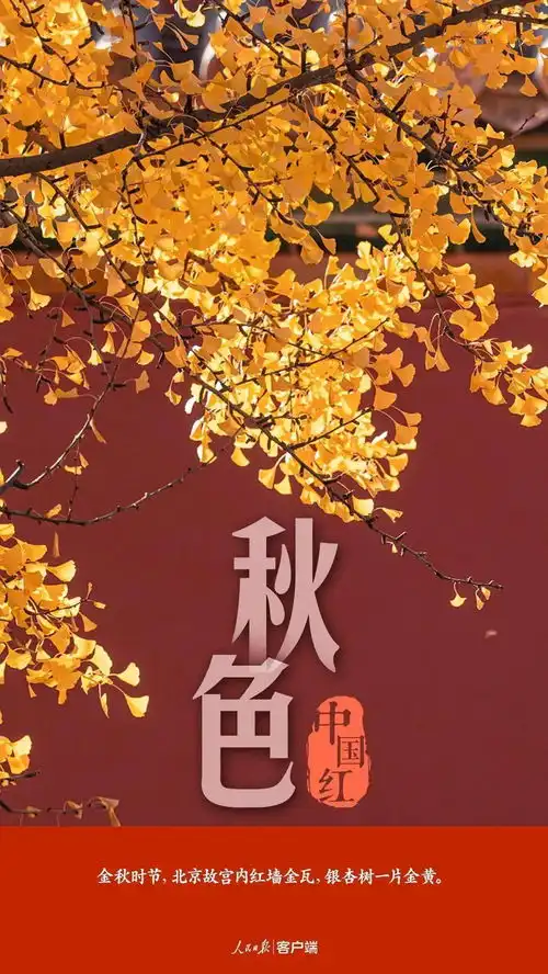 天津大爷快板模式夸祖国凡尔赛式表白的不只有他