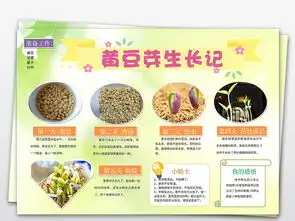 word电子小报黄豆芽生长植物成长日记图片素材worddoc模板下载115.41mb科学手抄报大全学科手抄报