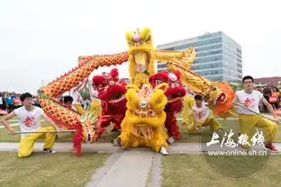 端午将至千余沪上高校留学生通海湖上赛龙舟