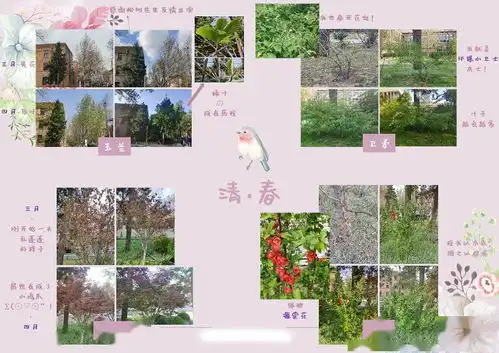 高中黑板报排版教材