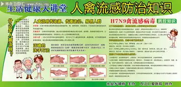 健康知识展板下载预防人禽流感知识板报