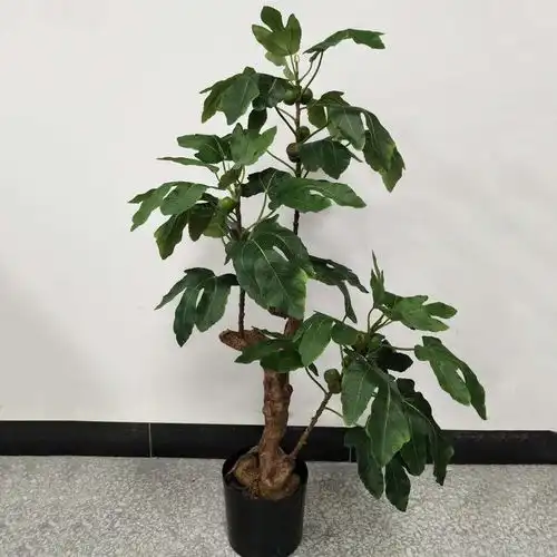 阳台不要再种花了,这两种果树赶紧安排上吧,真甜