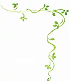 手抄报花边