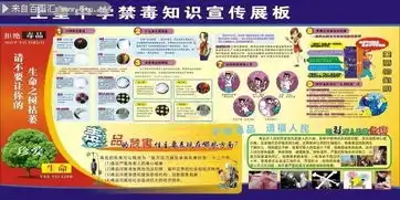 学校禁毒知识宣传展板图片素材