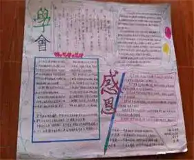 感恩教育手抄报感恩教育观后感500字