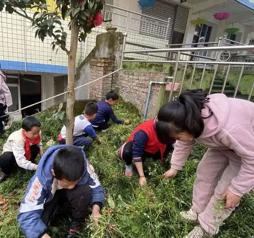 播种希望,收获未来