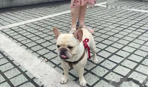 高考结束许多考生打算