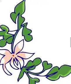 黑板报花边手抄报花边图案简单的小花