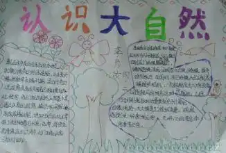 大自然的启示手抄报图