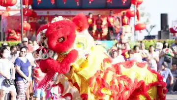 元旦舞狮子黑板报中国城