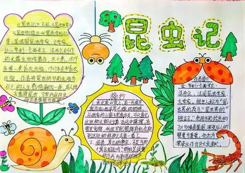 昆虫记手抄报怎么画
