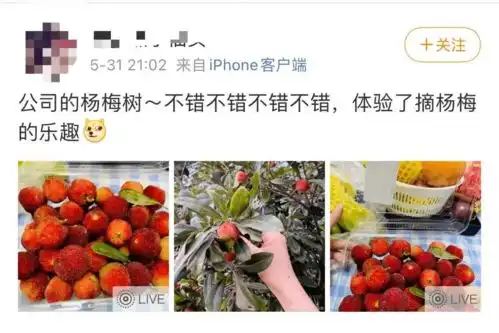 注意了最近很多浙江人都在做,有人曾因此不幸殒命