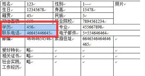 如何用word做板报