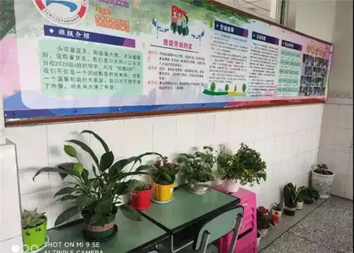 黑板报手工展示川大附小江安河分校劳动小能手上线啦