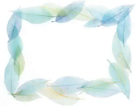 手抄报花边透明的小花边