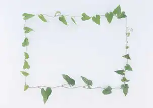 花框81