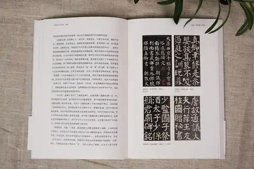 崔寒柏书法闲谈丨一位书法实践者数十年思想的灵光乍现