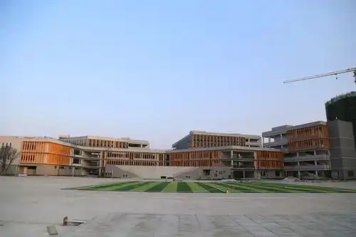 天府新区小学第一批次摇中率出炉,十一学校11,天府四中5