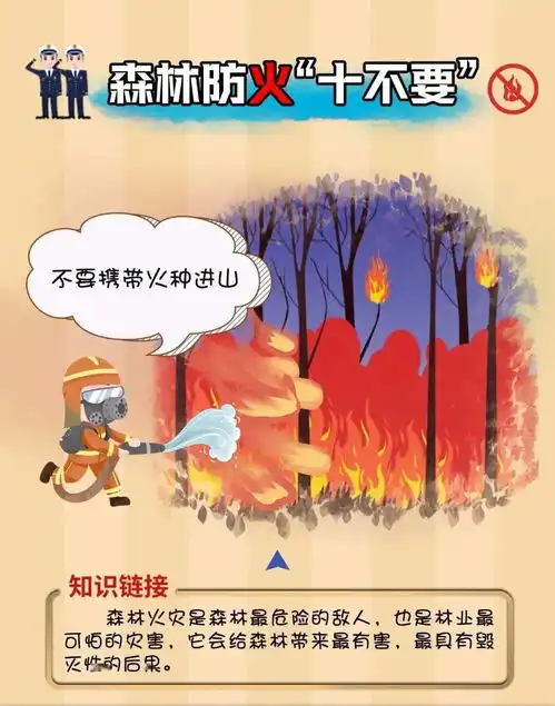 森林防火十不要请牢记