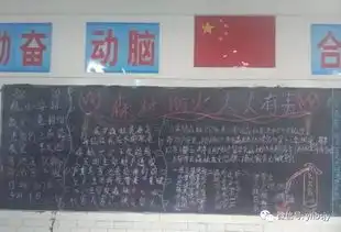 安全教育黑板报内容森林
