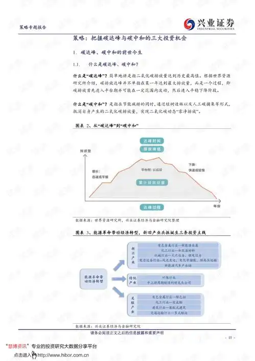 20210317兴业证券兴论碳中和系列拥抱能源革命的强主题.pdf