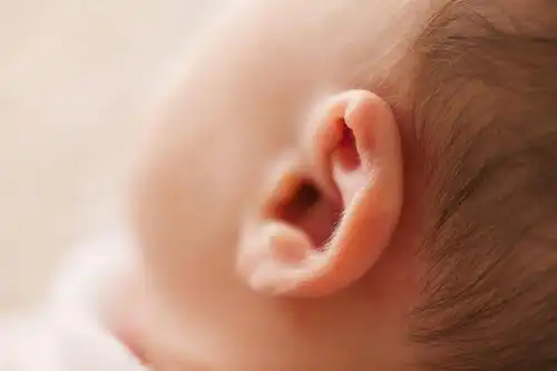数字黑板报耵聍