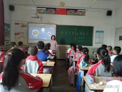 彩璟小学扎实推进禁毒教育