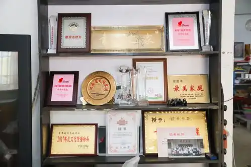 农家女独撑乡村公益图书馆12年读书之后人依然要面对现实