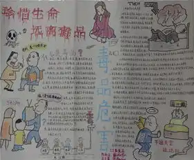 禁毒手抄报禁毒教育宣传资料
