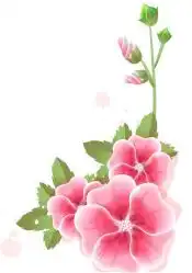 黑板报花边简笔画大全尾