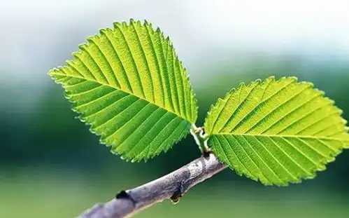 花钱大手大脚的4个生肖,一辈子攒不住钱,还好到老年不缺钱