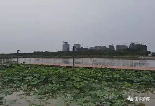 农历四月,邂逅最美的四月诗词