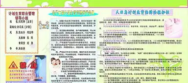 医疗卫生计划生育板报宣传栏怀孕孕妇母婴医院妇幼保健图片矢量图免费下载cdr格式编号15405691千图网