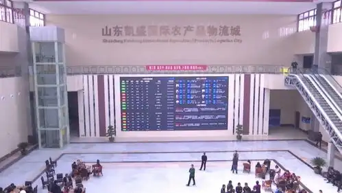 数字黑板报金乡一中