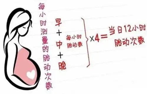 孕中晚期系列篇产前检查四数胎动