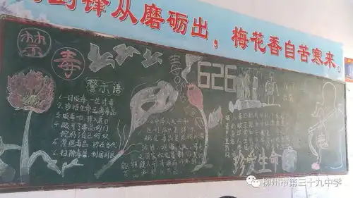 绿色人生,绿色无毒板报设计大赛