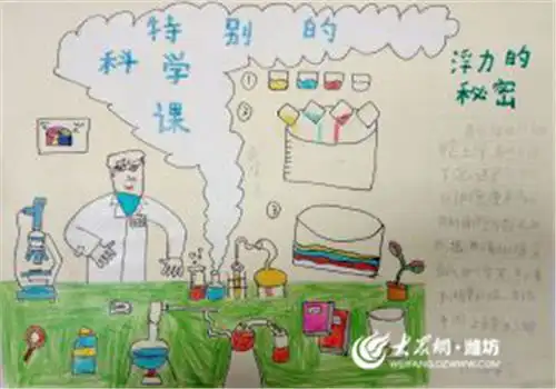 坊子区九龙街道孟家小学举办科技创新节活动