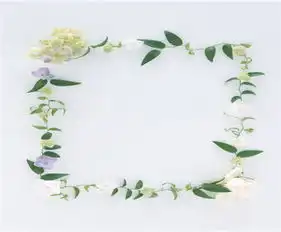 黑板报花边排版设计