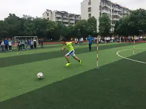 迎江教育专题