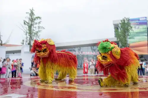 舞狮图片素材下载摄影素材素材下的背景实拍图片素材