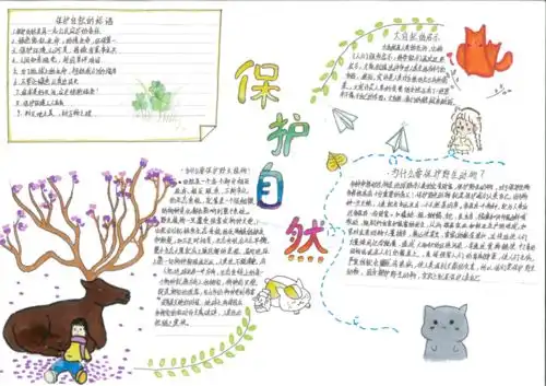 获奖作品展示自然的答案手抄报一