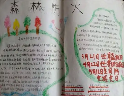 屏山县屏山镇缸坪基点校抓好森林防火宣传增强森林防火意识