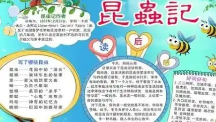关于昆虫记手抄报内容