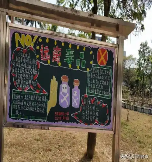 广西合浦坚持关口前移,筑牢禁毒校园防线