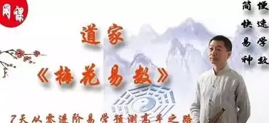 道家梅花易数,7天从零进阶易学预测高手之路效果学员说了算
