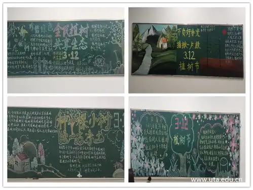 财经商贸学院团总支开展植树节黑板报评比活动