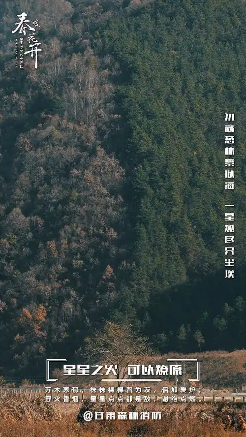 又到春季甘肃森林消防邀您换壁纸啦