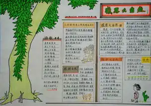 关于大自然的手抄报