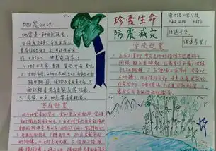 防灾减灾的手抄报设计